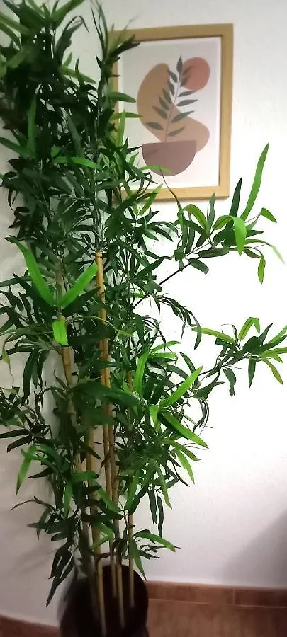 Centrico Apartamento En Cordoba By Bebalmy 0*,  España